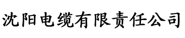 久久影院av人禽交电缆厂logo